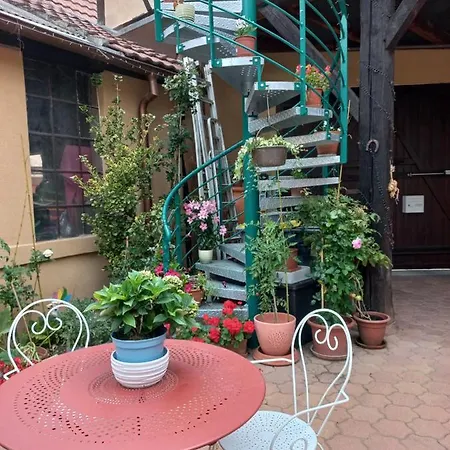 Zewwelatreppler - La Grange Aux Petits Oignons - Rainette Affittacamere Sélestat