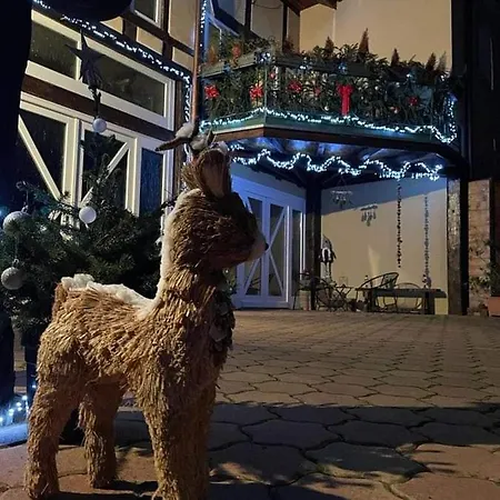 Zewwelatreppler - La Grange Aux Petits Oignons - Rainette Affittacamere Sélestat