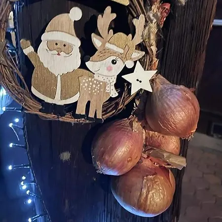 Zewwelatreppler - La Grange Aux Petits Oignons - Rainette 3* Sélestat